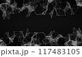 Abstract connection of dots and lines on a black background. Black and white plexus effect. Particles and polygons fly slowly, a futuristic interweaving of digital data. Neural networks, Cellul 4k	 117483105