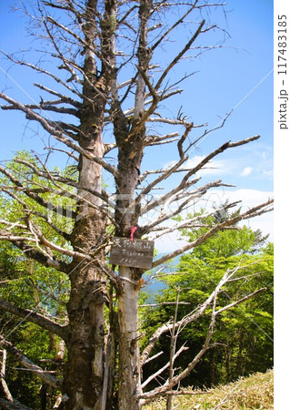 天狗棚山 天狗棚山 117483185