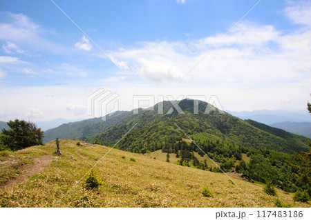 小金沢山 小金沢山 117483186