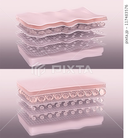 Young and aged skin. Stylized skin layers before and after wrinkle-removing treatment action of anti-aging collagen-boosting cosmetic products or laser beauty therapy. 3D render 117483576