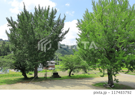 昭和村 旧喰丸小学校 昭和村 旧喰丸小学校 117483792