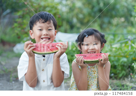 夏休みにスイカを食べる子供 117484158