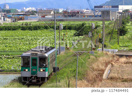 ［N］鳴門線1200形気動車（徳島⇔鳴門） 117484491