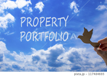 Property portfolio symbol. Concept words Property portfolio on beautiful sky. Beautiful blue sky cloud background. Businessman hand with wooden bird. Business Property portfolio concept. Copy space. 117484693