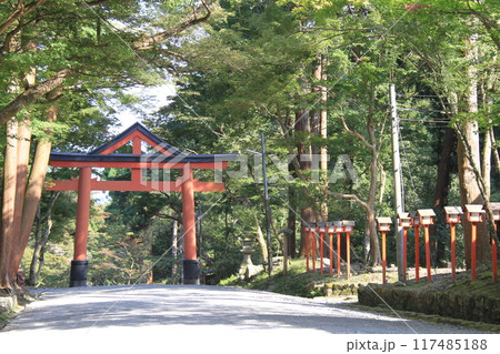 日吉大社の山王鳥居 117485188