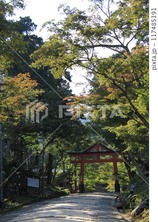 日吉大社の山王鳥居 日吉大社の山王鳥居 117485191