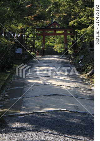 日吉大社の山王鳥居 日吉大社の山王鳥居 117485192
