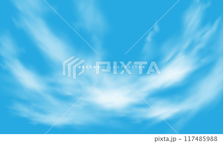 Vector of realistic white cloud on blue sky background Vector of realistic white cloud on blue sky background 117485988