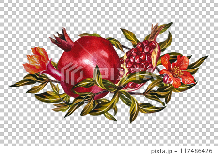 Pomegranate fruits and flowers on a branch. Pomegranate in the section. A watercolor illustration made by hand. For labels, packages. For postcards, flyers and posters, for decorating kitchen utensils 117486426