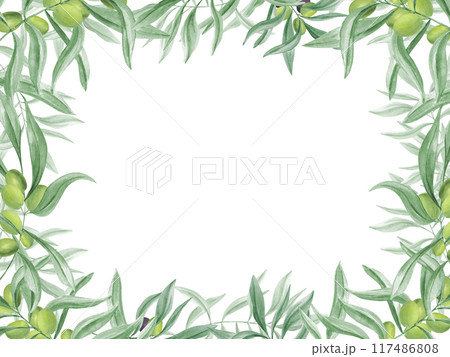 Olive twig with ripe and unripe olives. Branch with berry. Mediterranean lifestyle. Lush green leaves. Horizontal frame with copy space for text. Watercolor illustration. For culinary themes Olive twig with ripe and unripe olives. Branch with berry. Mediterranean lifestyle. Lush green leaves. Horizontal frame with copy space for text. Watercolor illustration. For culinary themes 117486808