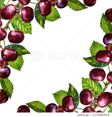 Cherry. A frame with ripe and juicy cherries with leaves on a branch. A hand-drawn watercolor illustration. For the design of labels and packages, flyers and banners. For menus and postcards. 117486919
