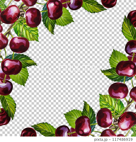Cherry. A frame with ripe and juicy cherries with leaves on a branch. A hand-drawn watercolor illustration. For the design of labels and packages, flyers and banners. For menus and postcards. 117486919