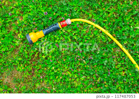 A water hose with a sprayer for watering plants in the garden. Gardening concept. A water hose with a sprayer for watering plants in the garden. Gardening concept. 117487053