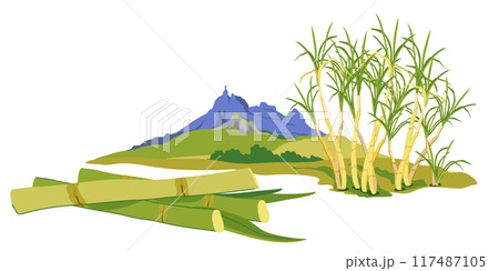 Sugarcane fields with famous Pieter Both mountain in the background. Vector landscape of Moka mountain range, tourist attraction of Mauritius island. Horizontal illustration of landmark in flat style. Sugarcane fields with famous Pieter Both mountain in the background. Vector landscape of Moka mountain range, tourist attraction of Mauritius island. Horizontal illustration of landmark in flat style. 117487105