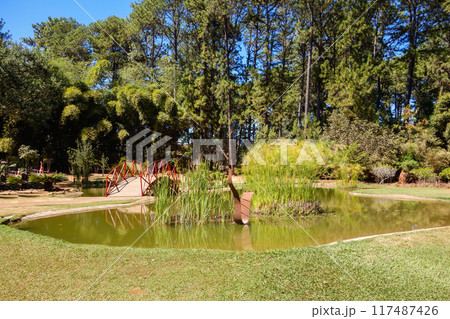 Brasilia Botanical Garden in Brasilia, Brazil, at sunny dat. Jardim Botanico  117487426