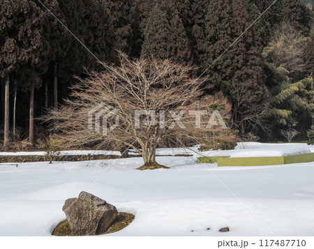 冬の一乗谷朝倉氏遺跡の景色 117487710