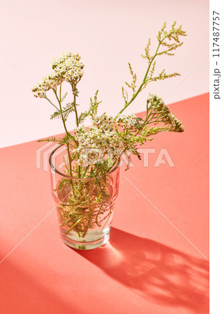 glass of wild flowers 117487757