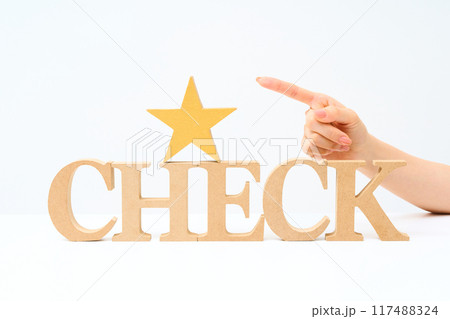 「CHECK」と並べられたアルファベットの木製ブロック 117488324