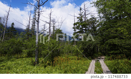 夏の長野県松本市上高地 117488733