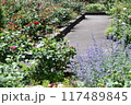 咲き誇る花 117489845