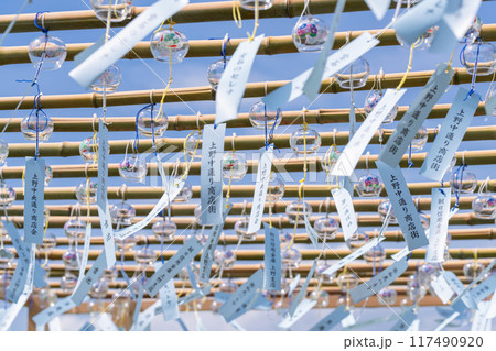 《東京都》夏の風鈴 117490920