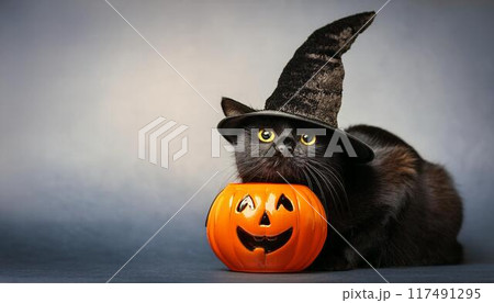 ハロウィーンのカボチャと黒猫と魔女の帽子のイラスト素材 [117491295