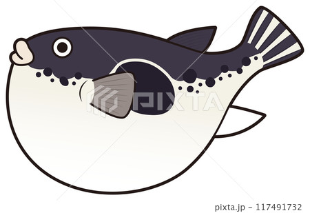 トラフグ トラフグ 117491732