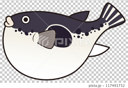 トラフグ トラフグ 117491732