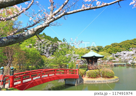 愛知県瀬戸市、定光寺公園と桜の風景 117491974