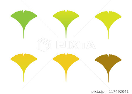 黄色いイチョウのセット 117492041