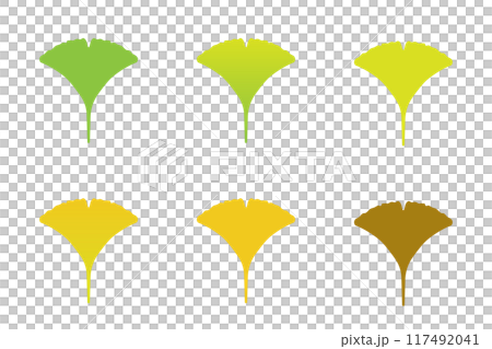 黄色いイチョウのセット 117492041