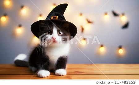 猫とハロウィン 117492152