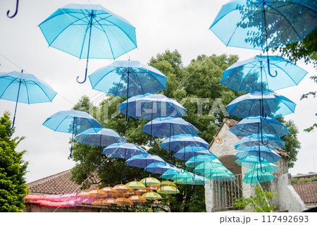 カラフルな傘 117492693