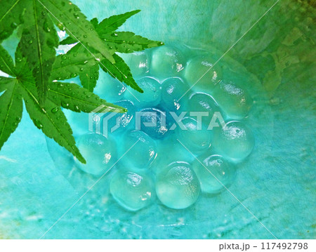 ぷるんとした食感がたまらない!水で冷やしたわらび餅の写真 ぷるんとした食感がたまらない!水で冷やしたわらび餅の写真 117492798