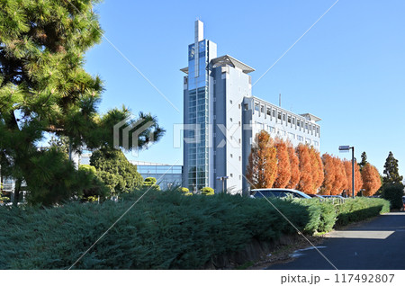 中山道本庄宿：本庄市役所　本庄市本庄 117492807