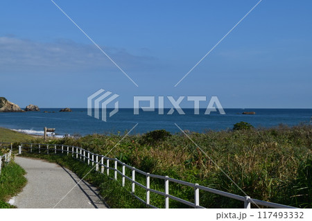歩道からの海辺 117493332