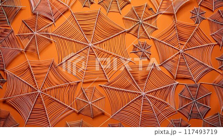 蜘蛛の巣の背景画像 蜘蛛の巣の背景画像 117493719