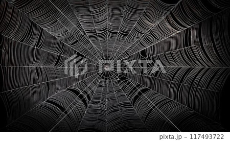 蜘蛛の巣の背景画像 117493722