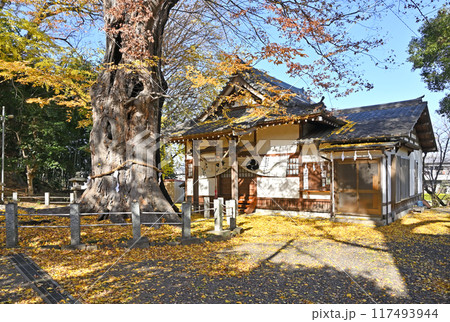 中山道本庄宿：城山稲荷神社　本庄市本庄 117493944