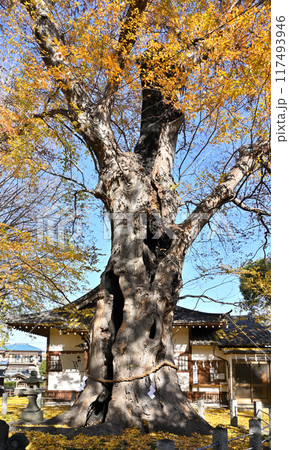中山道本庄宿：城山稲荷神社　本庄市本庄 117493946