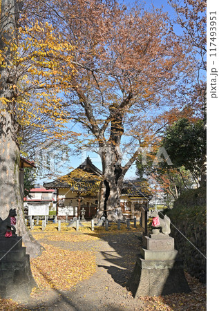 中山道本庄宿:城山稲荷神社 本庄市本庄 中山道本庄宿:城山稲荷神社 本庄市本庄 117493951