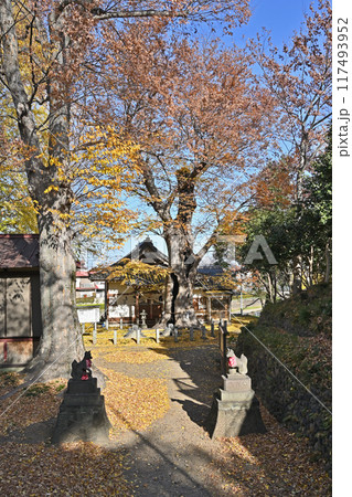 中山道本庄宿:城山稲荷神社 本庄市本庄 中山道本庄宿:城山稲荷神社 本庄市本庄 117493952