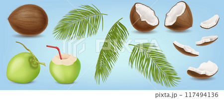 Coconut fruits and palm leaves realistic vector images 117494136