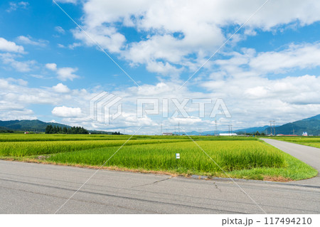 イオン六日町店の裏に広がる田園風景 夏晴れの青空 新潟県南魚沼市 イオン六日町店の裏に広がる田園風景 夏晴れの青空 新潟県南魚沼市 117494210