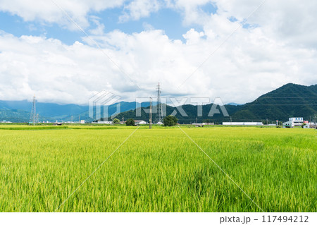 イオン六日町店の裏に広がる広大な田園風景と町並み　夏晴れの青空　新潟県南魚沼市 117494212