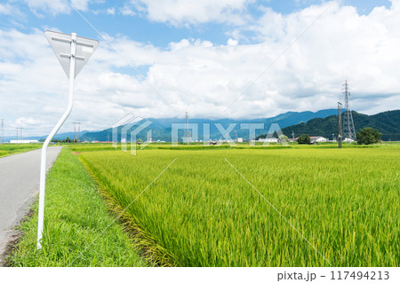イオン六日町店の裏に広がる広大な田園風景と道路 夏晴れの青空 新潟県南魚沼市 イオン六日町店の裏に広がる広大な田園風景と道路 夏晴れの青空 新潟県南魚沼市 117494213