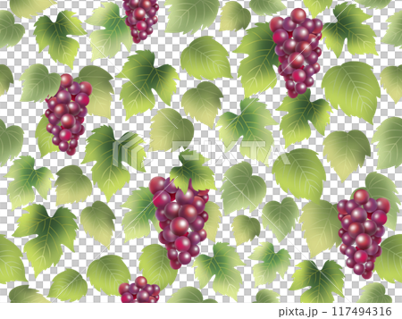 葡萄無縫模式 F-1 117494316