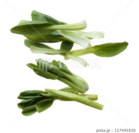 Kale fly in mid air, green fresh vegetable chinese kale falling. Organic fresh vegetable with eaten leaf of chinese kale, heap close up texture. White background isolated freeze motion 117495830