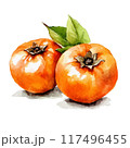 水彩タッチの柿 117496455