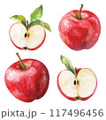 水彩タッチのりんごセット 117496456